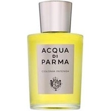 Acqua Di Parma Colonia Intensa kolínska voda pánska 100 ml