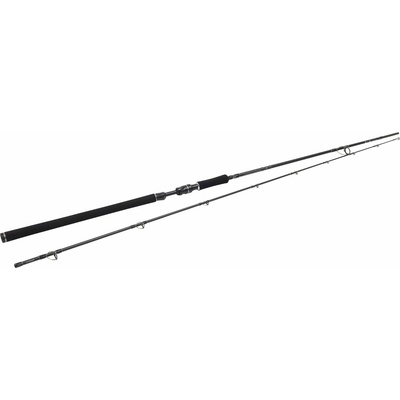 Westin W3 Powercast 3rd XH 251cm 20-80g 2 díly