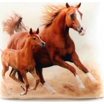 Lamps vankúš fotopotisk Koně 33x33