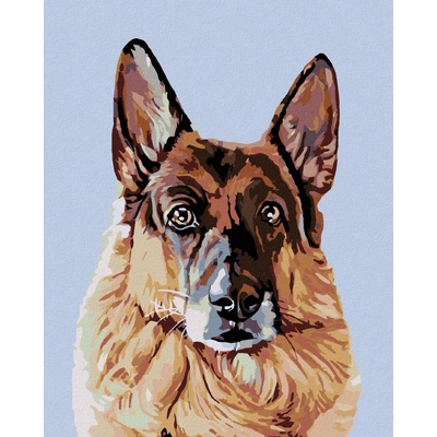 zuty Malování podle čísel Hledící německý ovčák 80 x 100 cm vypnuté plátno na rám 8596530011552