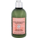 L'Occitane regenerační Conditioner Aromachologie Repairing Conditioner pro suché a poškozené vlasy 250 ml