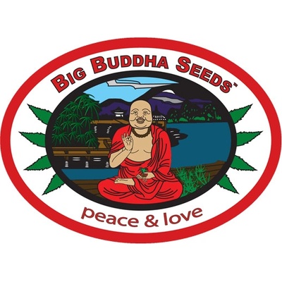 Big Buddha Seeds G Bomb semena neobsahují THC 10 ks – Zboží Dáma