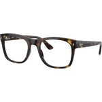 Ray-Ban RX7228 2012