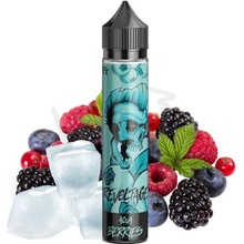 Revoltage Chladivá zmes bobúľ Shake and Vape 10 ml