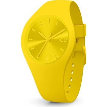 Ice Watch 017909