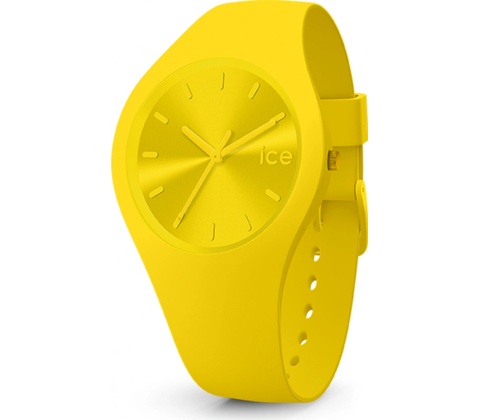 Ice Watch 017909