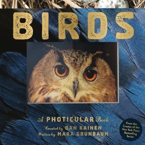 Birds | KAINEN DAN (ISBN: 9781523532070)