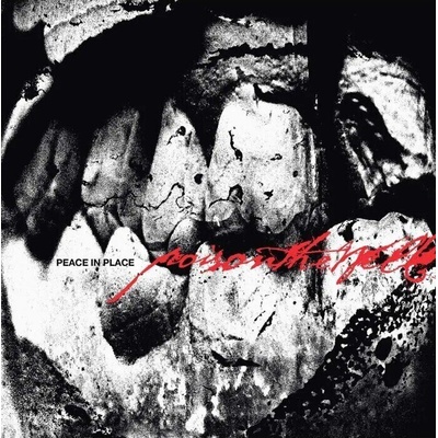 Poison The Well - Peace In Place (CD) (4065629759322)