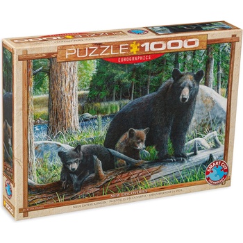 EUROGRAPHICS Пъзел Eurographics от 1000 части - Нови открития, Кевин Даниел (60000793)