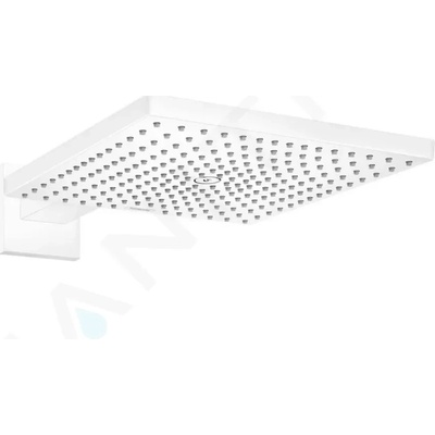 Hansgrohe Raindance 26238700