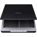 Epson Perfection V19