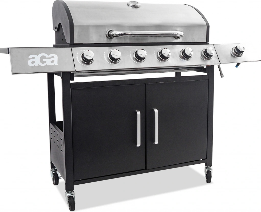 Aga DS1921