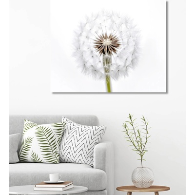 ZUTY Obrazy na stenu - Odkvitnutá púpava Rámovanie: bez rámu a bez vypnutia plátna, Rozmer: 40x50 cm