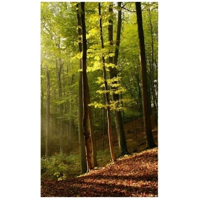 DIMEX ART Флизелинов фототапет гора 150 x 250 см