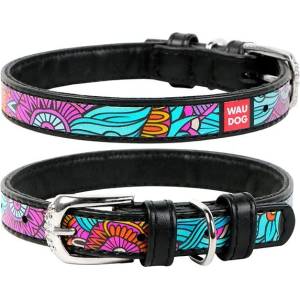 COLLAR Кожен нашийник WAUDOG Summer - черен 1, 2 см x 21 - 29 см