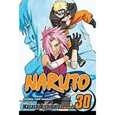 Naruto, Vol. 30: Puppet Masters - Masashi Kishimoto