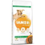 Iams Dog Adult Large Chicken 12kg (1754-128146)