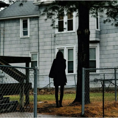 The Tallest Man On Earth - Dark Bird Is Home (LP) (656605140018)