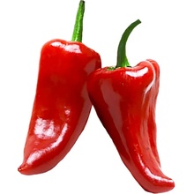 Need For Seed Chilli Piquillo semena 10 ks