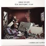 Sonic Youth - The Destroyed Room B-Sides And Rarities (2 LP) (0787996801216)