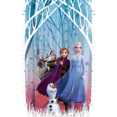 Fotozáclony Frozen 2 140x245cm FCS L 7165