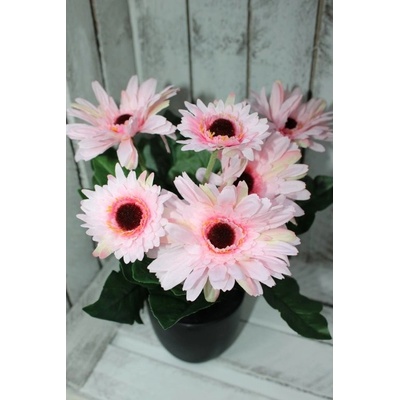 Piskáček Gerbera v květináči Barva: Růžová