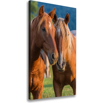 Vertikálny foto obraz na plátne do obývačky Kone 50x100 cm