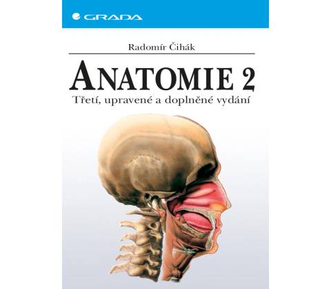 Anatomie 2