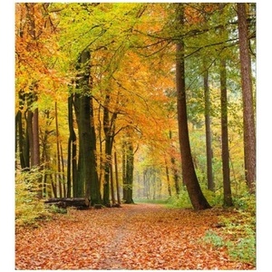 DIMEX ART Флизелинов фототапет есенна гора 225 x 250 см