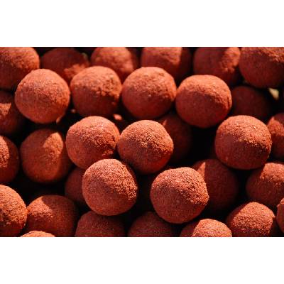 LK Baits Boilies Fish Activ 250ml 20mm Spice Shrimp