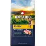 ONTARIO Adult Mini Chicken & Sweet Potatoes 6, 5 кг