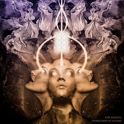 Mr Bison - Echoes From The Universe LP