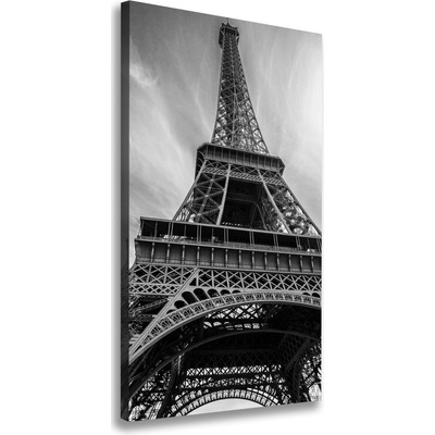 Vertikálny foto obraz na plátne Eiffelová veža Paríž 50x100 cm