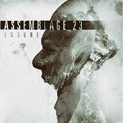 ASSEMBLAGE 23 - ENDURE CD