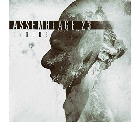 ASSEMBLAGE 23 - ENDURE CD