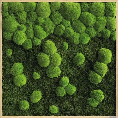 Mechový obraz v dřevěném rámu 80x80 cm