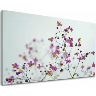 Obraz na stenu KVETY - 20x30
