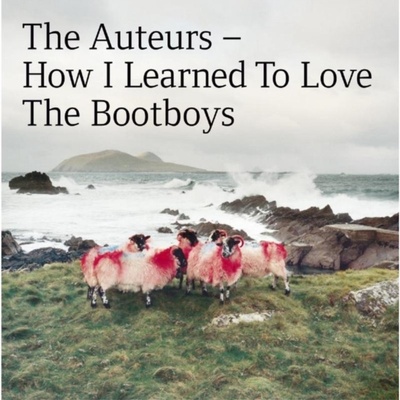 How I Learned to Love the Bootboys The Auteurs