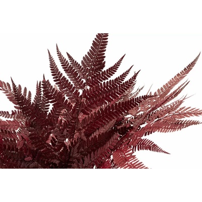 Stabilizovaná papraď červená - Fern Leather