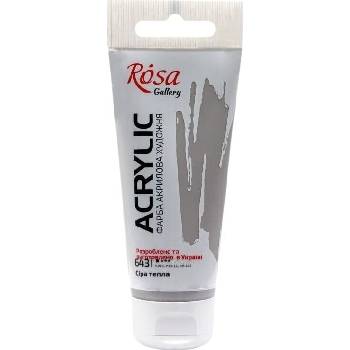 Rosa Gallery АКРИЛНА боя Warm Gray (643) 60 ml 1 бр (3241643)