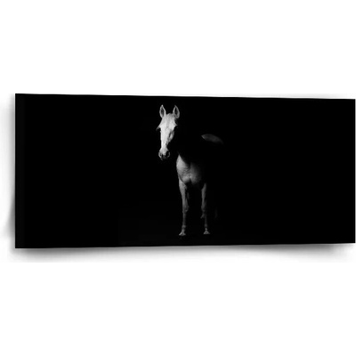Sablio Obraz Kôň v tieni - 110x50 cm