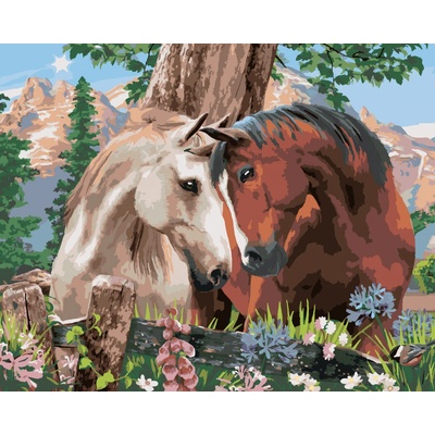 Zuty Malování podle čísel Když se zamiluje kůň Howard Robinson 80 x 100 cm vypnuté plátno na rám