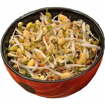 Biomiska Čínska zmes semienka na klíčenie - 40 g