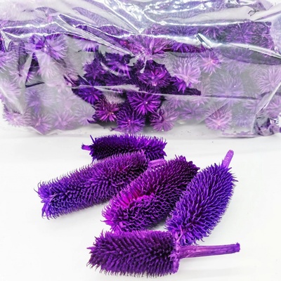 Hlavička bodláku dipsacus - 500 gramů - fialová - SU0715