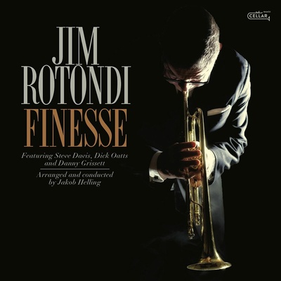 ROTONDI, JIM - FINESSE (1LP)