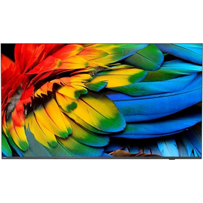 Philips 43HFL6214U/12