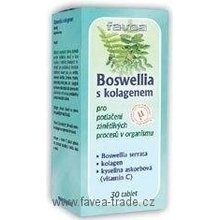 Favea Boswellia s chondroitinem a kolagenem 30 tablet