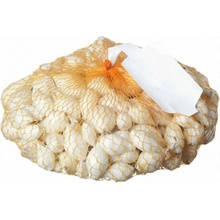 Cibuľa sadz. biela 16-21 mm Snowball 80 250 g
