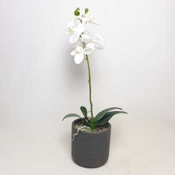Umělá Orchidej bílá 60cm
