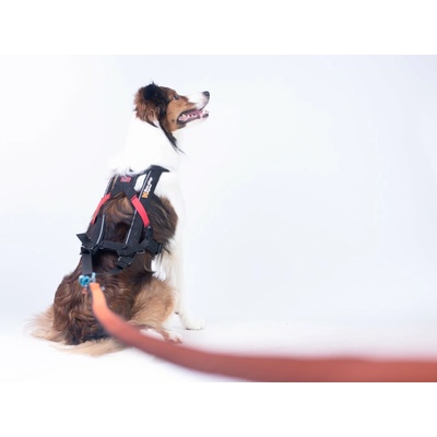 Non-stop dogwear Postroj Freemotion harness
